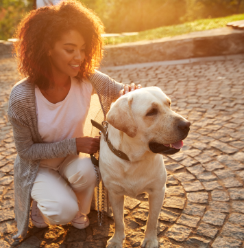 Dicas essenciais para cuidar da saúde dos pets!